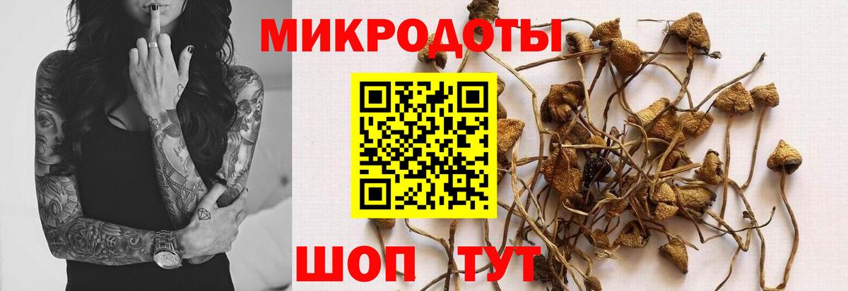 Псилоцибиновые грибы мицелий Ялта