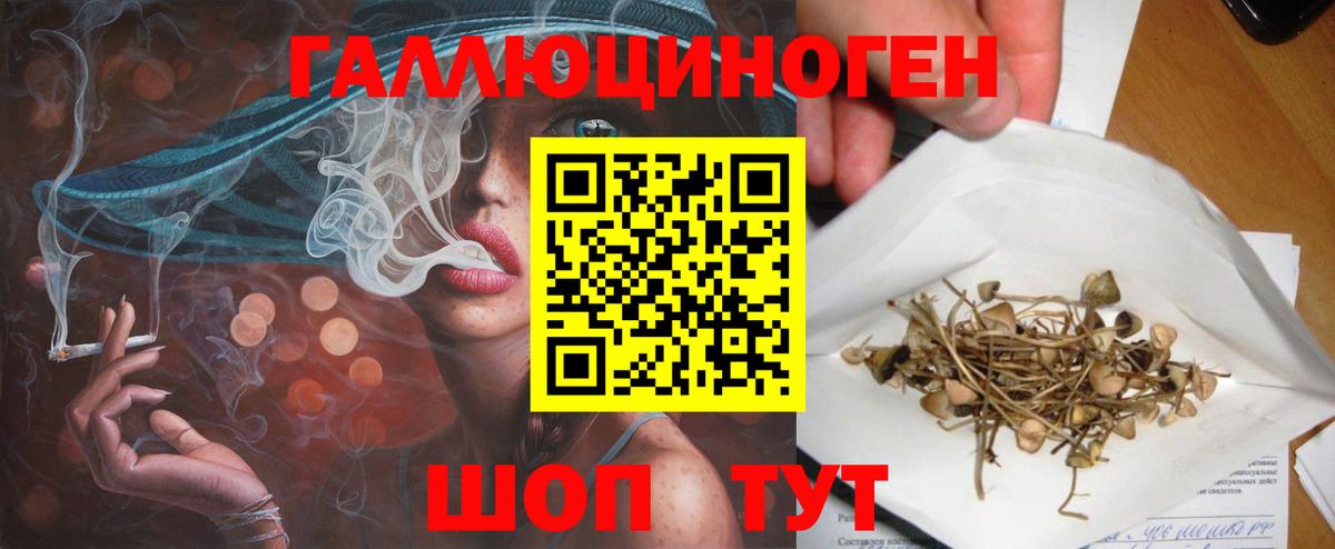 сколько стоит  Вход с VPN  Ялта  Псилоцибиновые грибы ЛСД 